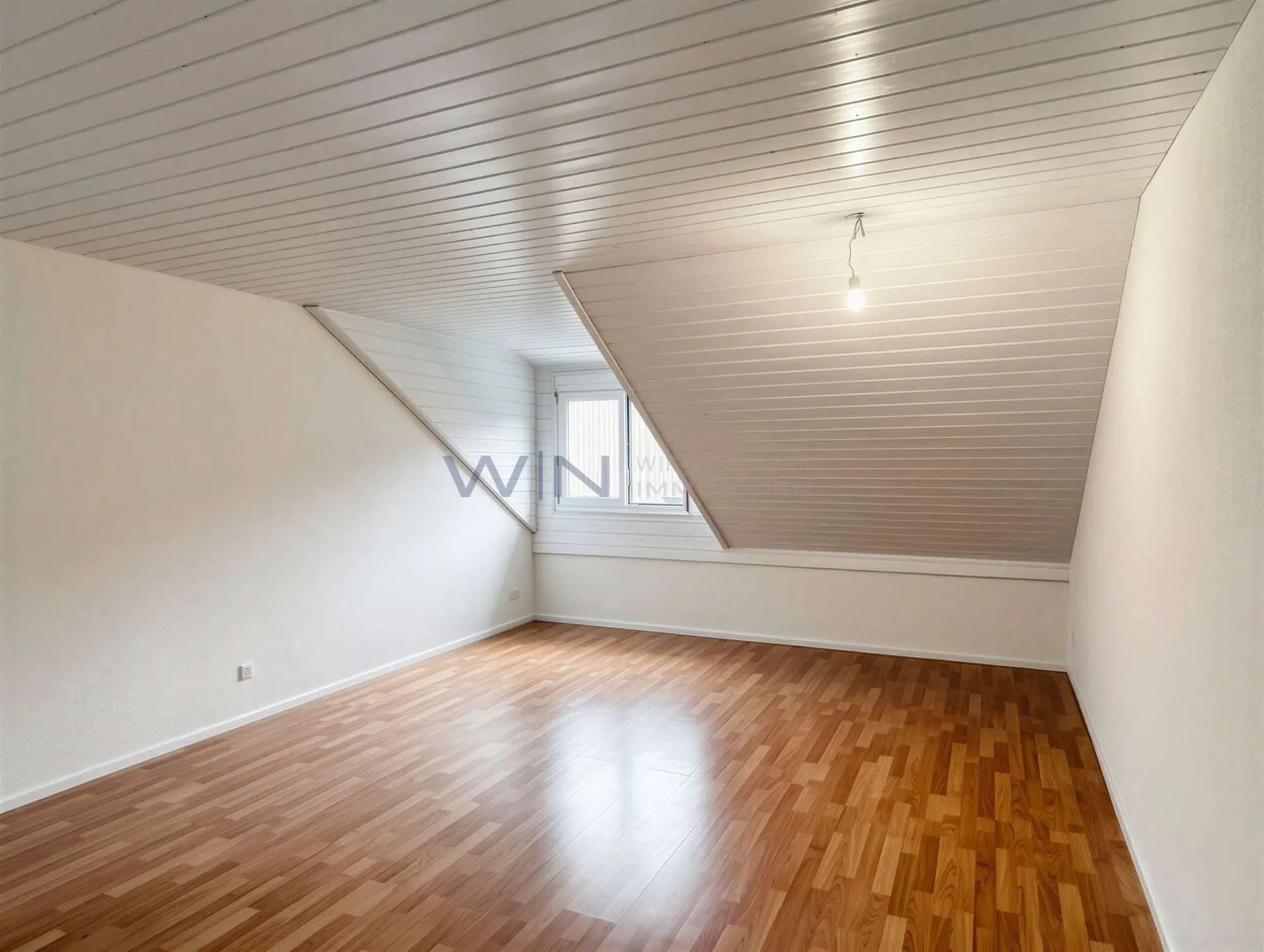Enjoy Spectacular Views of Regensdorf – photo 4